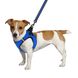 Шлея для собак Bronzedog Mesh Vest 3D сітка синя