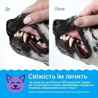 Добавка у воду для зубів собак та котів SynergyLabs Dental Fresh Advanced Plaque & Tartar проти зубного нальоту та неприємного запаху з пащі SynergyLabs