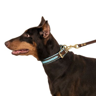 Ошейник для Собак Кожаный BronzeDog Premium с Плетением и Литой Латунной Фурнитурой BronzeDog