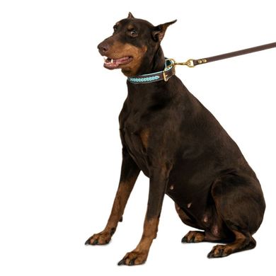 Нашийник для Собак Шкіряний BronzeDog Premium з Плетінням і Литий латунний фурнітура BronzeDog