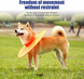 Ветеринарний комір для собак Total Pet Health, Orange, XL