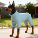 Комбінезон для собак KOOGAL, Blue, XL, 35 см, 45 см, 31 см