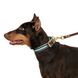 Нашийник для Собак Шкіряний BronzeDog Premium з Плетінням і Литий латунний фурнітура Коричнево-Бежевий