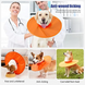 Ветеринарний комір для собак Total Pet Health, Orange, XL