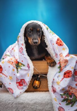 Одеяло для животных Derby Sherpa Blanket, Festive Christmas Fleece Derby