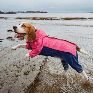 Комбінезон-дощовик для собак Premium Dog Rain, Pink