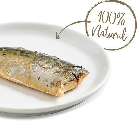 Ласощі для котів Applaws Mackerel Fillet Treat (філе скумбрії) Applaws