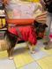 Дощовик для собак Coleman Dog Raincoat, M, 36-43 см, 48-56 см, 31-38 см