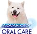 Зубная паста для собак Nylabone Advanced Oral Care Dog Toothpaste, 70 г, 70 г