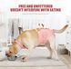Дышащая попона для собак Derby Breathable Pet Recovery Suite, Pink, S, 30-35 см, 30-42 см, 32 см