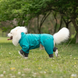 Комбінезон для собак VPETBR Pet Windbreaker, Green, 4XL, 55 см, 74 см, 49 см