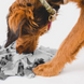 Килимок для нюхання для собак Derby Raccoon Shape Pet Snuffle Mat