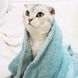 Плед для домашніх тварин Soft Warm Fluffy Pet Blanket, Блакитний, 70х100 см