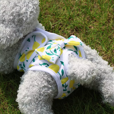 Багаторазовий підгузок для сук Derby Yellow flower green Derby