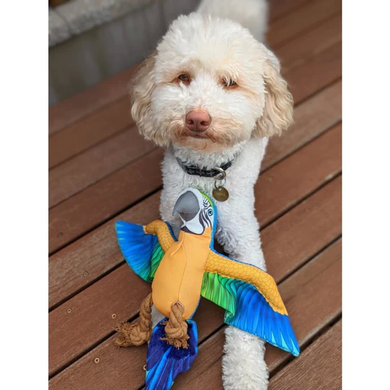 М'яка іграшка для собак Bird Shaped Squeaky Dog Plush Toy with Cotton Rope Derby