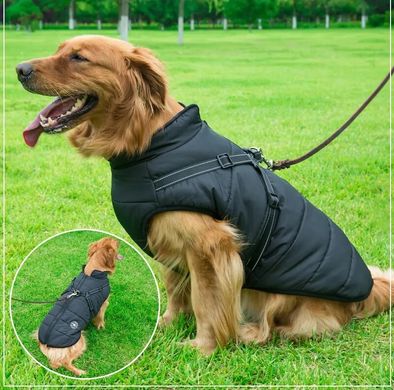 Світловідбиваюча зимова куртка для собак Black Derby