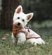 Зимова куртка для собак V.PET.B.R. Luxury Dog Jacket C519 Brown Paw, S, 22,5 см, 39 см, 27 см