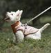 Зимова куртка для собак V.PET.B.R. Luxury Dog Jacket C519 Brown Paw, S, 22,5 см, 39 см, 27 см