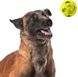 Игрушка-мяч для собак средних и крыпных пород Nerf Dog Rubber Bash Ball с LED подсветкой, Зелёный, Medium/Large