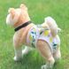 Багаторазовий підгузок для сук Derby Yellow flower green, S, 24-28 см