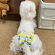 Багаторазовий підгузок для сук Derby Yellow flower green, S, 24-28 см
