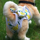 Багаторазовий підгузок для сук Derby Yellow flower green, S, 24-28 см