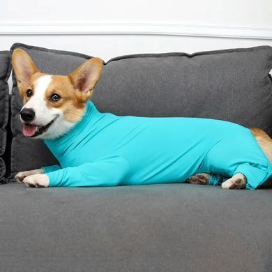 Комбінезон для відновлення собак Derby Pet Recovery Suite, Turquoise Derby