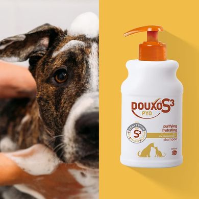 Шампунь-антисептик для собак и котов Douxo S3 PYO