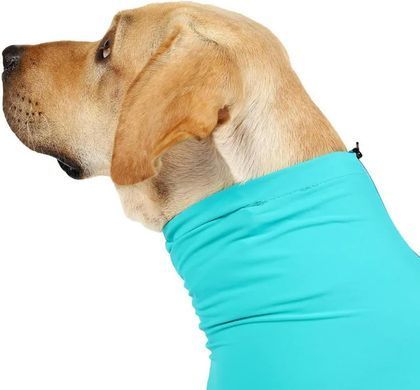 Комбінезон для відновлення собак Derby Pet Recovery Suite, Turquoise Derby