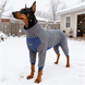 Піжама для собак KOOGAL Preferred Pet Blue, XL, 30 см, 45 см, 36 см