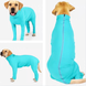 Комбінезон для відновлення собак Derby Pet Recovery Suite, Turquoise, S, 31 см, 45 см, 30 см