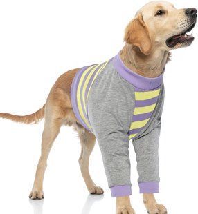 Костюм для відновлення собак Derby Stop Licking Dog Recovery Shirt, Purple Derby
