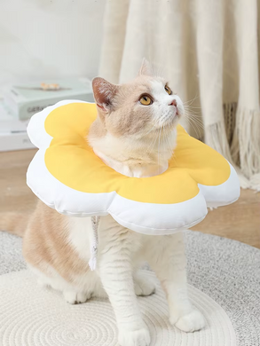 Мягкий воротник для кошек и небольших собак Derby Plush flower, Yellow Derby
