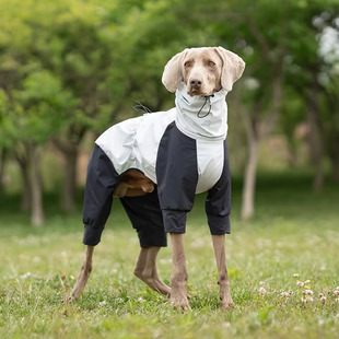 Комбинезон для собак VPETBR Pet Windbreaker, Silvery V.PET.B.R