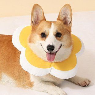 М'який комір для котів і невеликих собак Derby Plush flower, Yellow Derby