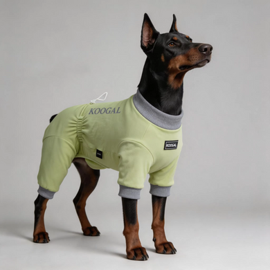 Комбінезон для собак KOOGAL Elastic Jumpsuit, Lemon Green KOOGAL