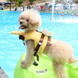 Спасательный жилет для собак Cute Bee-Shaped Pet Life Jacket, S, 18 см, 31-44 см, 22-30 см