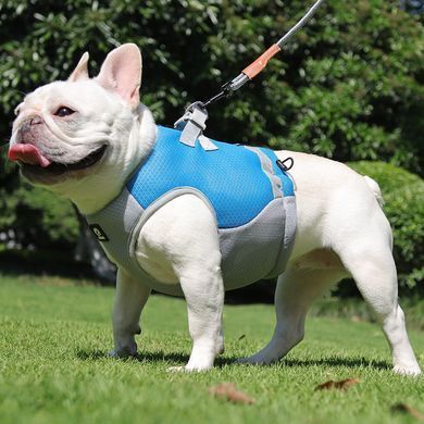 Летний охлаждающий жилет для собак Derby Summer Dog Cooling Vest PA0116-4, Blue Derby