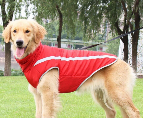 Світловідбиваюча зимова товста куртка для собак Red Derby