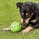 М'ячик для собак JW Pet Dog Ball, Зелений, Medium