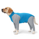 Пижама/попона для собак MOFESIPI Recovery Suit Blue&Grey, 3XL, 71 см, 108 см