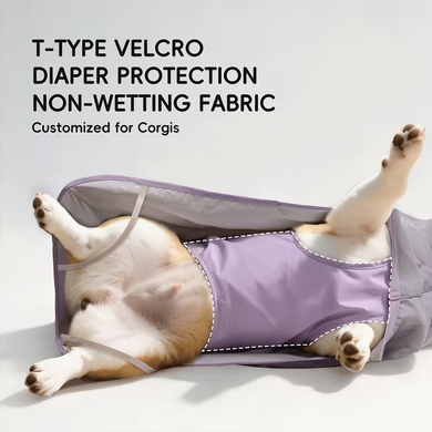 Дощовик для собак Corgi Special Raincoat