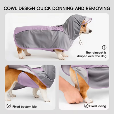 Дощовик для собак Corgi Special Raincoat
