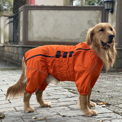 Комбинезон-дождевик для собак Derby Dog Suit Orange Derby