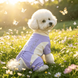 Комбинезон для защиты собак от солнца KOOGAL, Purple, 4XL, 40-50 см, 66 см, 42 см