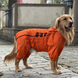 Комбинезон-дождевик для собак Derby Dog Suit Orange, D-L, 56-64 см, 56-74 см, 41-53 см