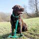 Поводок для собак Bronzedog Active водоотталкивающий с защитным полимерным покрытием 2,5 метра зеленый