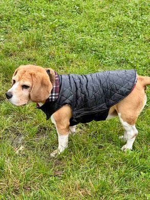 Зимовий водонепроникний двохсторонній жилет в клітинку Derby Plaid Red в британському стилі Derby