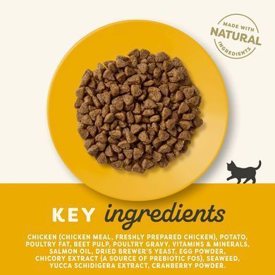 Сухой корм для котят Applaws Kitten Chicken + пробиотик Applaws