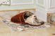 Багаторазова пелюшка для собак AquaStop арт.4, 90х90 см